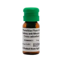 PhenoVue Fluor 488 - Donkey Anti-Mouse Antibody Cross-Adsorbed