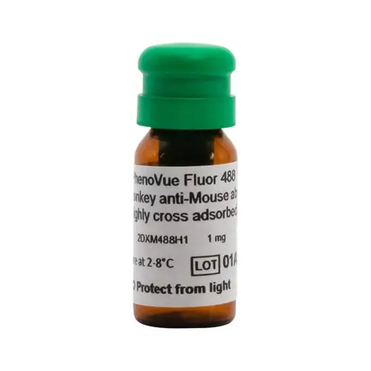 PhenoVue Fluor 488 - Donkey Anti-Mouse Antibody Highly Cross-Adsorbed
