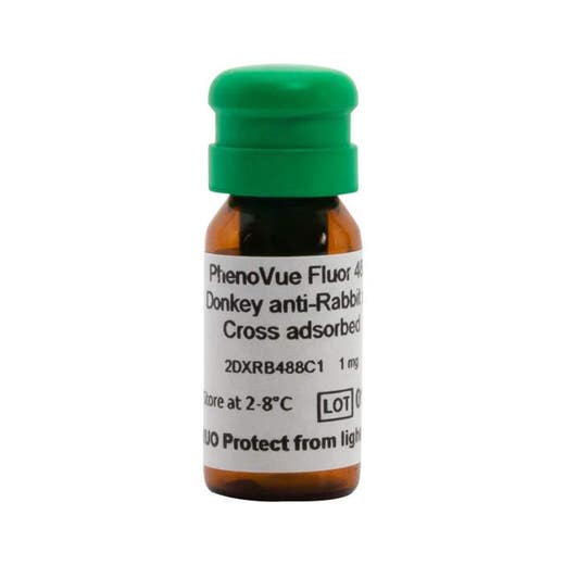 PhenoVue Fluor 488 - Donkey Anti-Rabbit Antibody Cross-Adsorbed