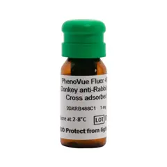 PhenoVue Fluor 488 - Donkey Anti-Rabbit Antibody Cross-Adsorbed