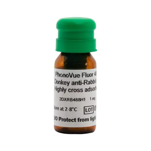 PhenoVue Fluor 488 - Donkey Anti-Rabbit Antibody Highly Cross-Adsorbed