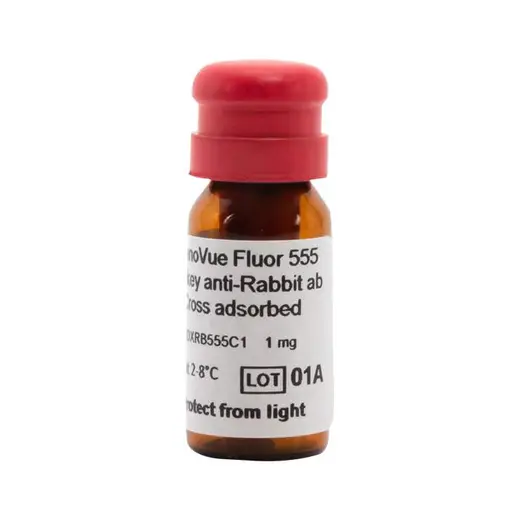 PhenoVue Fluor 555 - Donkey Anti-Rabbit Antibody Cross-Adsorbed
