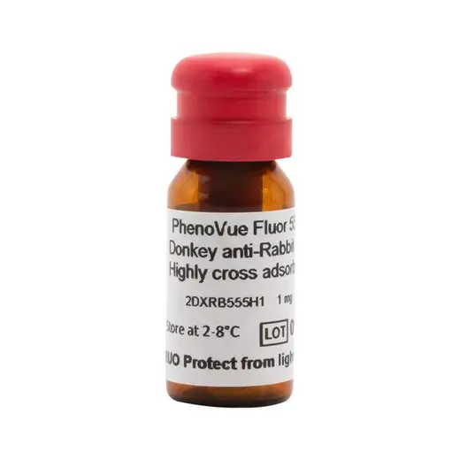 PhenoVue Fluor 555 - Donkey Anti-Rabbit Antibody Highly Cross-Adsorbed