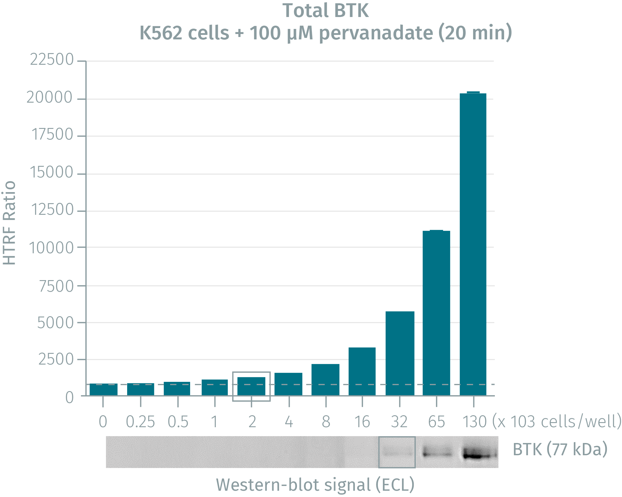 4assay-validation-btk-total-.png