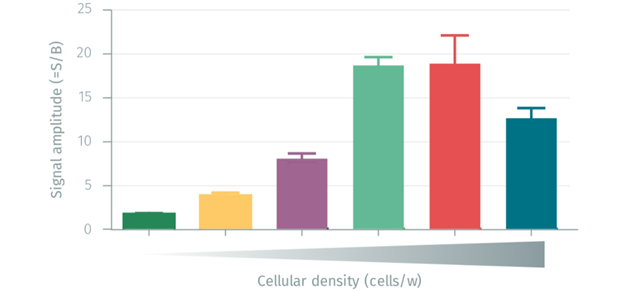 5-tips-for-mastering-gpcr-signaling-with-phospho-erk-assay_image2