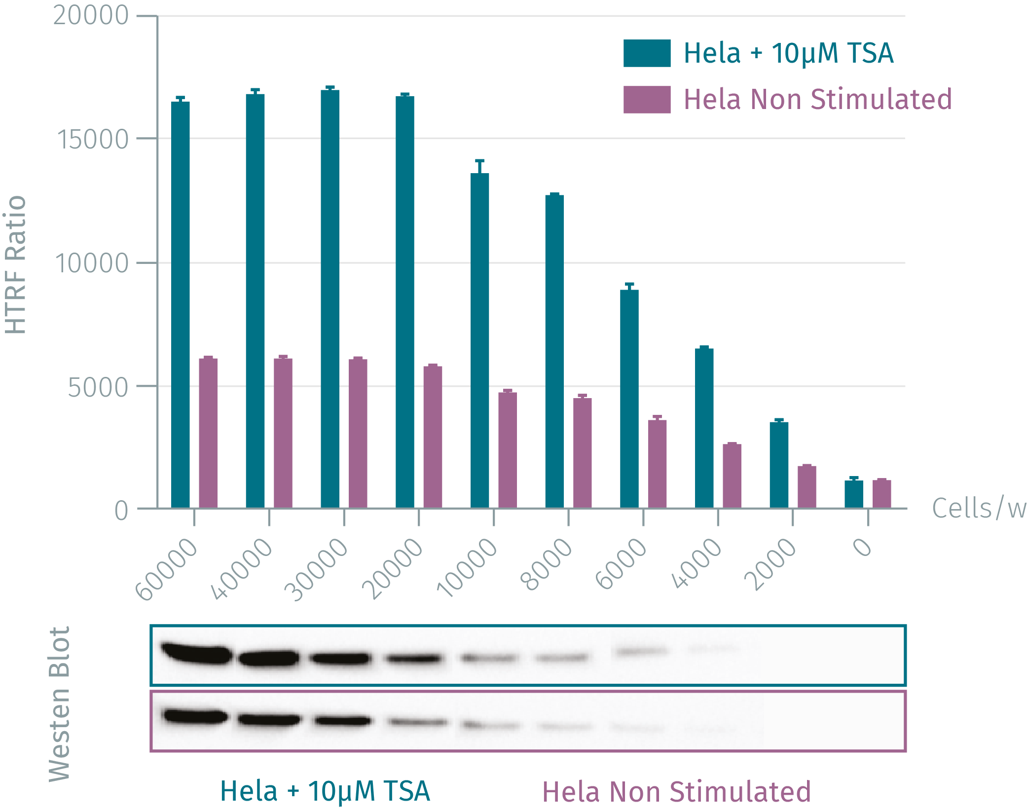 5analytical-performance-h3k4me2-cellular-assay-4.png