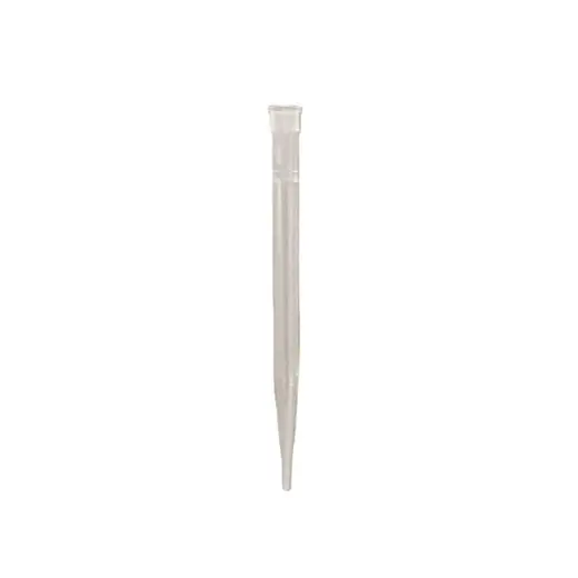 Pipette Filter Tips, clear, 900 µL, 960/PK