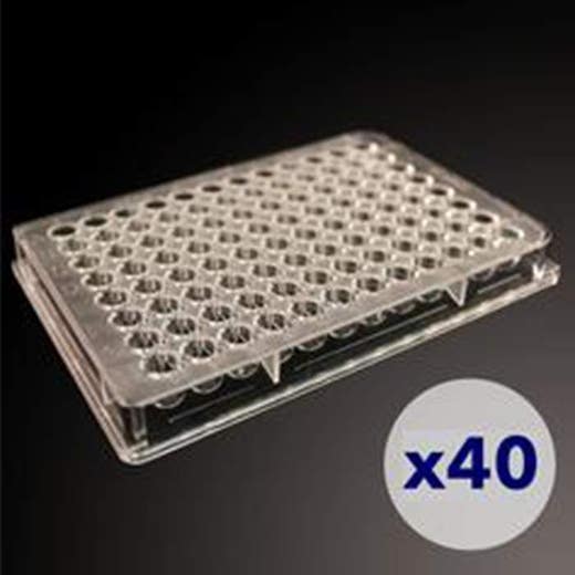 High-throughput counting plates, 12 x 2 orientation