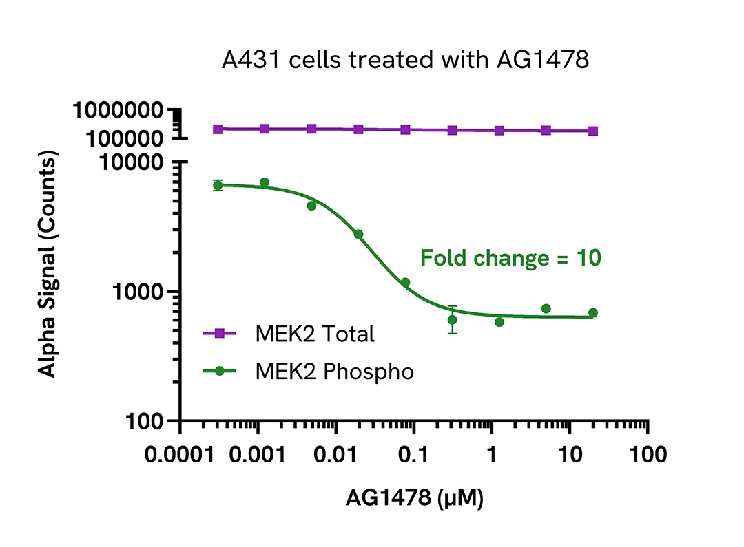 Pharmacological Validation (inhibitor) of Phospho MEK2 (Ser217/221)/Total assays