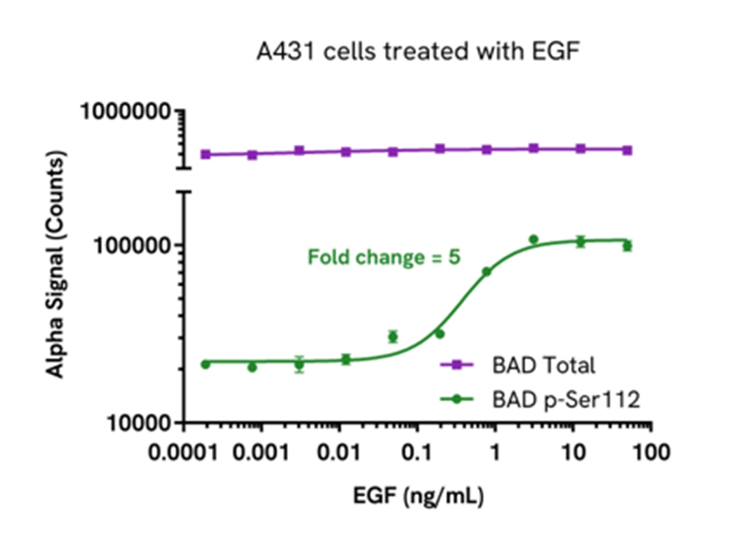 Pharmacological Validation of Total BAD