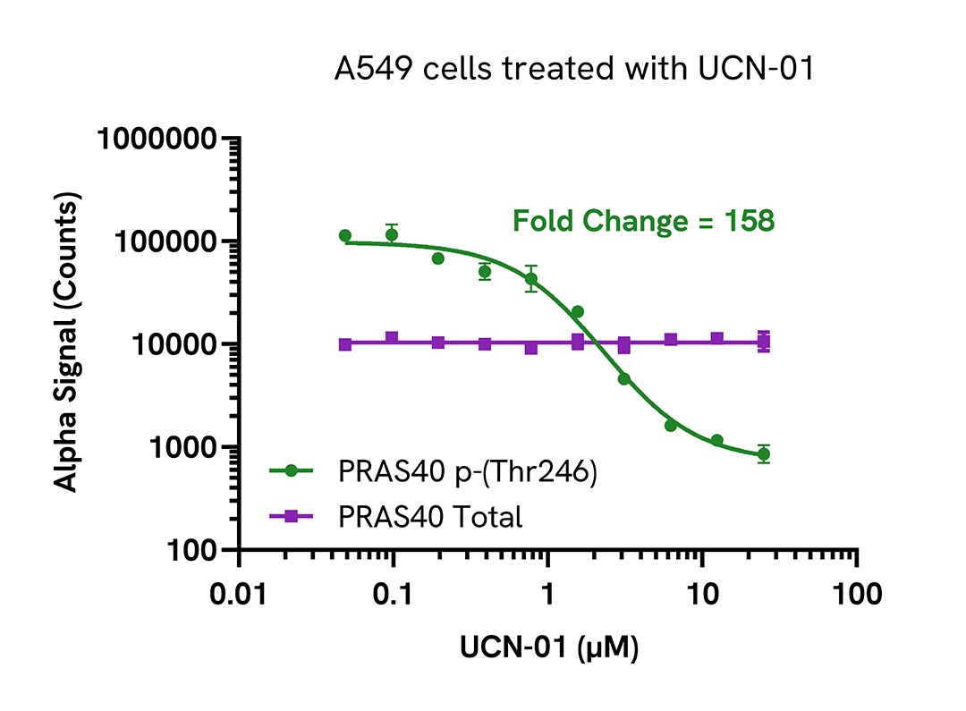 Pharmacological Validation (inhibitor) of Phospho (Thr246) PRAS40