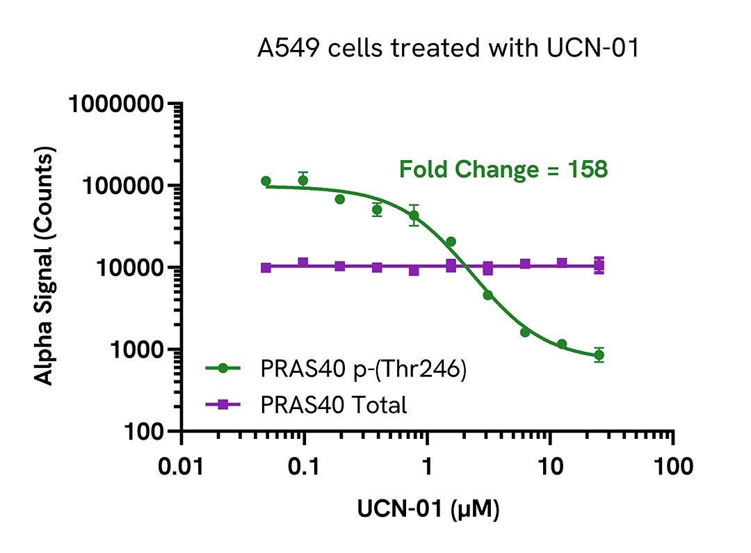 Pharmacological Validation of Total PRAS40