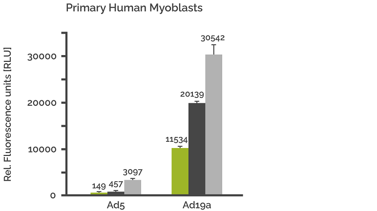 Ad19a-Figure-Primary-human-myoblasts