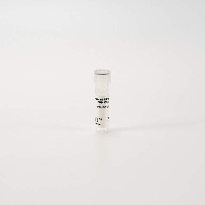PhenoVue anti-HSP60 antibody 100X