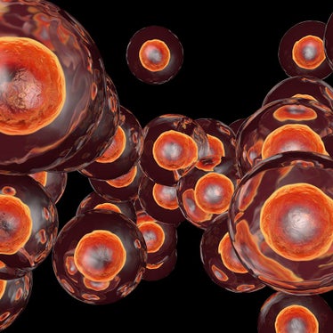Apoptosis 872x872
