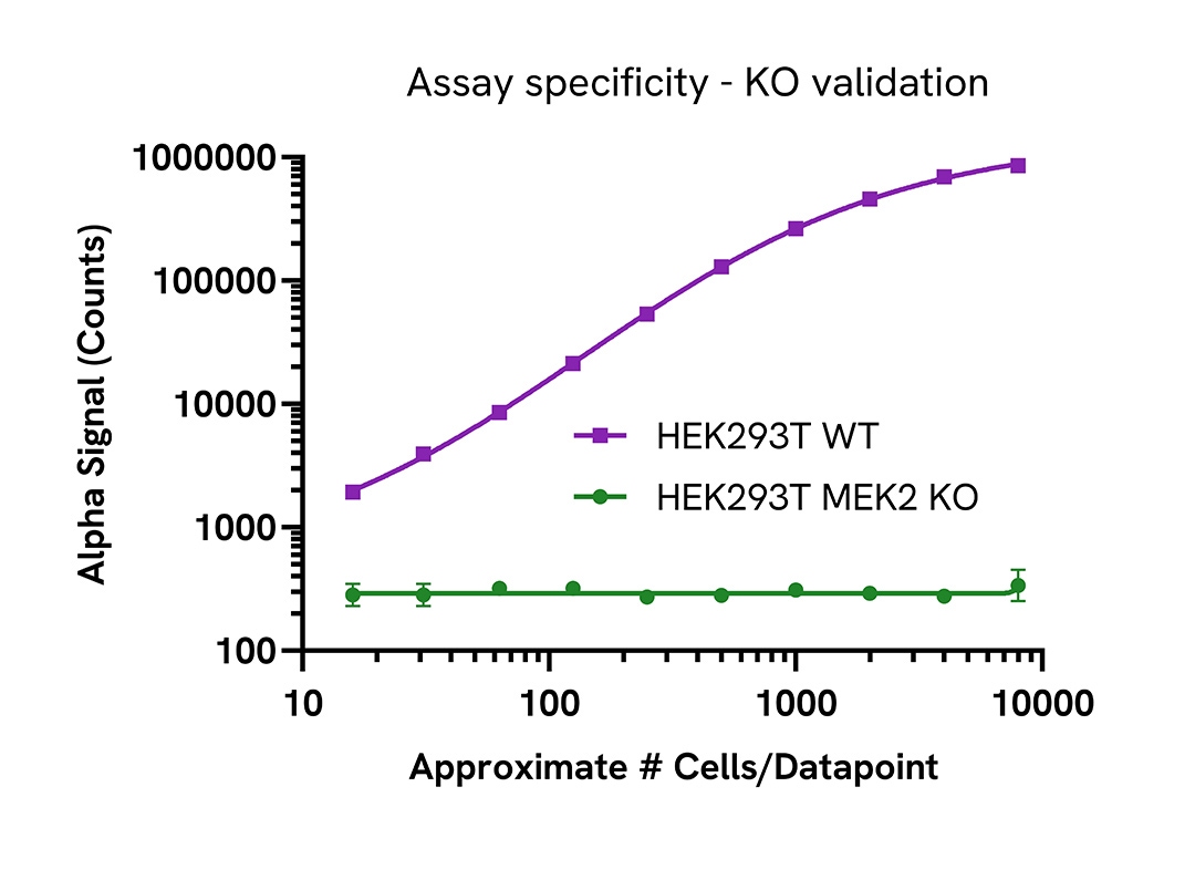 Specificity of Total MEK2 assay in knockout cells