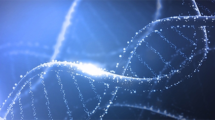 Automating PacBio SMRTbell Prep Kit 3.0 for Whole Genome Sequencing ...