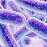 Bacteria-160x160