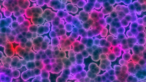 Bacterial-Growth-Detection-512