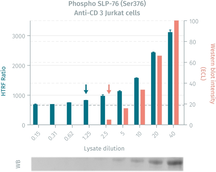 CGT-category-page-5-HTRF-VS-WB-SLP76-712