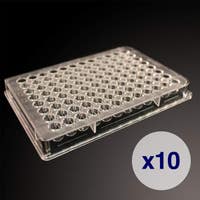 High-throughput counting plates, 12 x 2 orientation