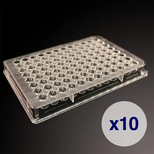 High-throughput counting plates, 12 x 2 orientation