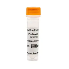 PhenoVue Fluor 555 - Phalloidin
