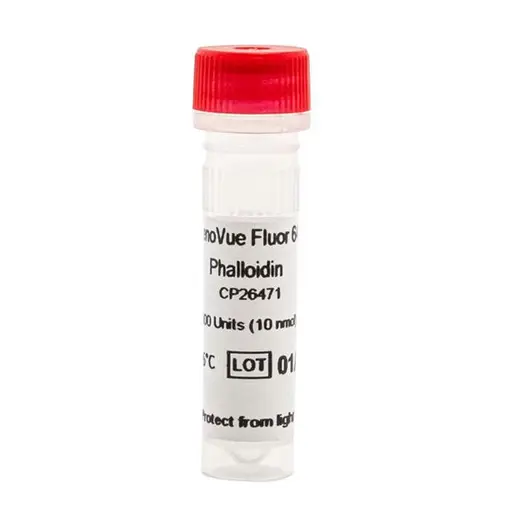 PhenoVue Fluor 647 - Phalloidin