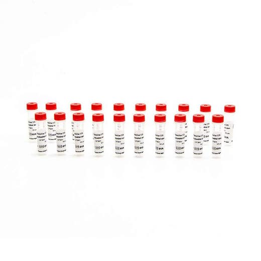 PhenoVue 578 Mitochondrial Stain