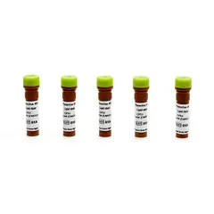 PhenoVue 493 Lipid Stain