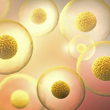 Cell count and viability