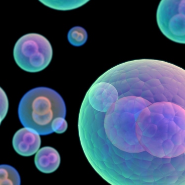 Cell health fitness