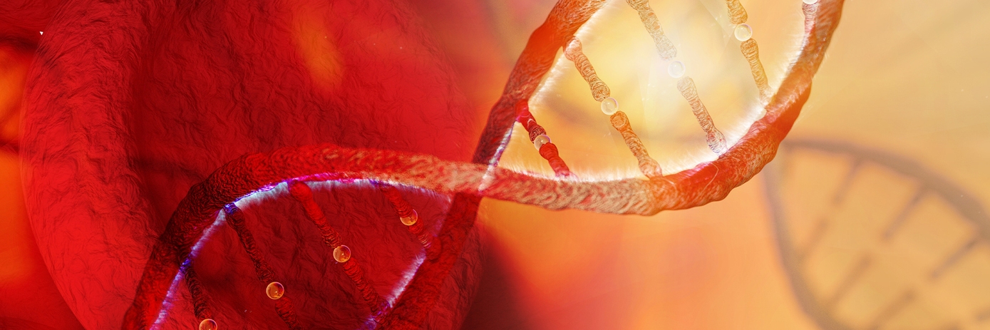 Comparison-of-automated-nucleic-acid-purification-systems-on-high-molecular-weight-hmw