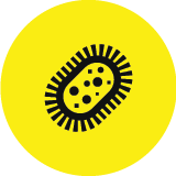 DIG_InfectiousDisease_Icons_Host Pathogen Interactions