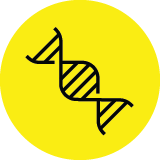 DIG_InfectiousDisease_Icons_Pathogen Genomics