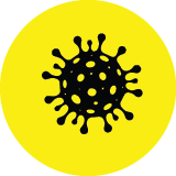 DIG_InfectiousDisease_Icons_Viral Diseases and Vaccines