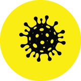 DIG_InfectiousDisease_Icons_Viral Diseases and Vaccines