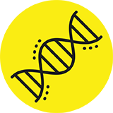 DNA-icon