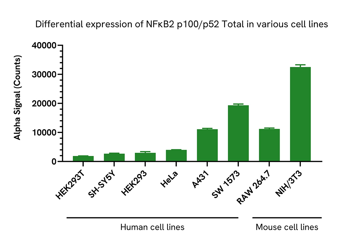 Versatility of NFκB2 p100/p52 Total assay in various cell lines