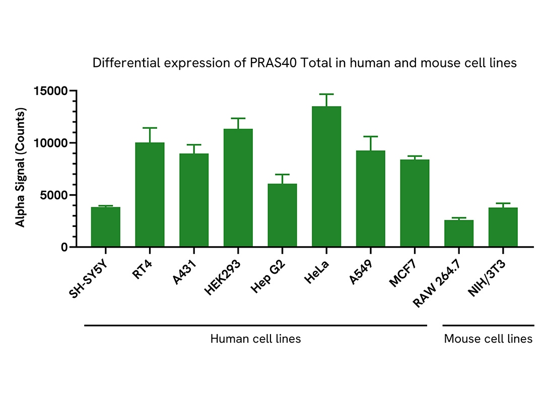 Versatility of Total PRAS40 assay in various cell lines