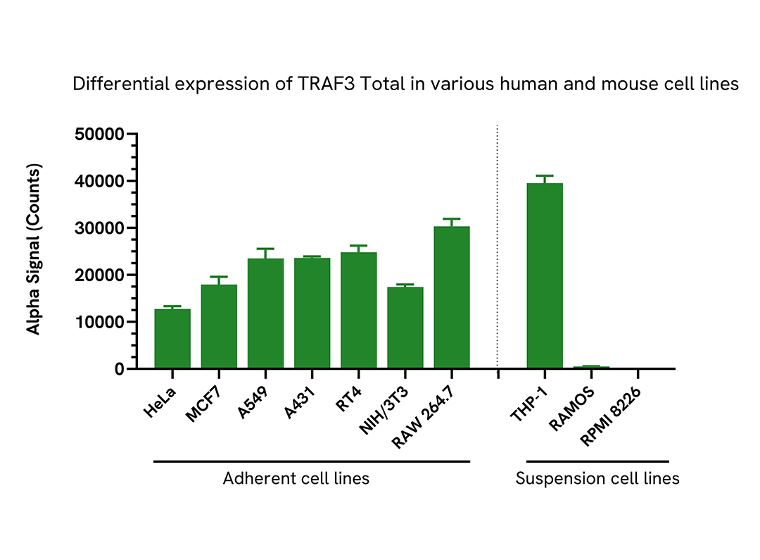 Versatility of Total TRAF3 assay in various cell lines