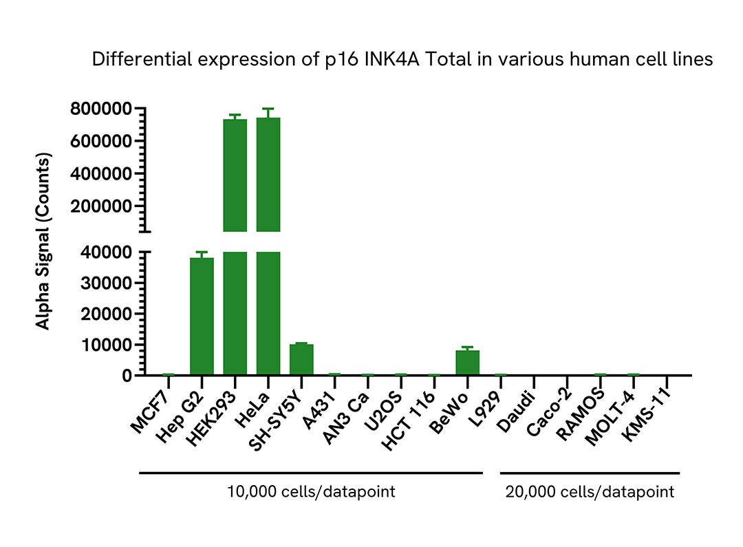 Versatility of Total p16 INK4A assay