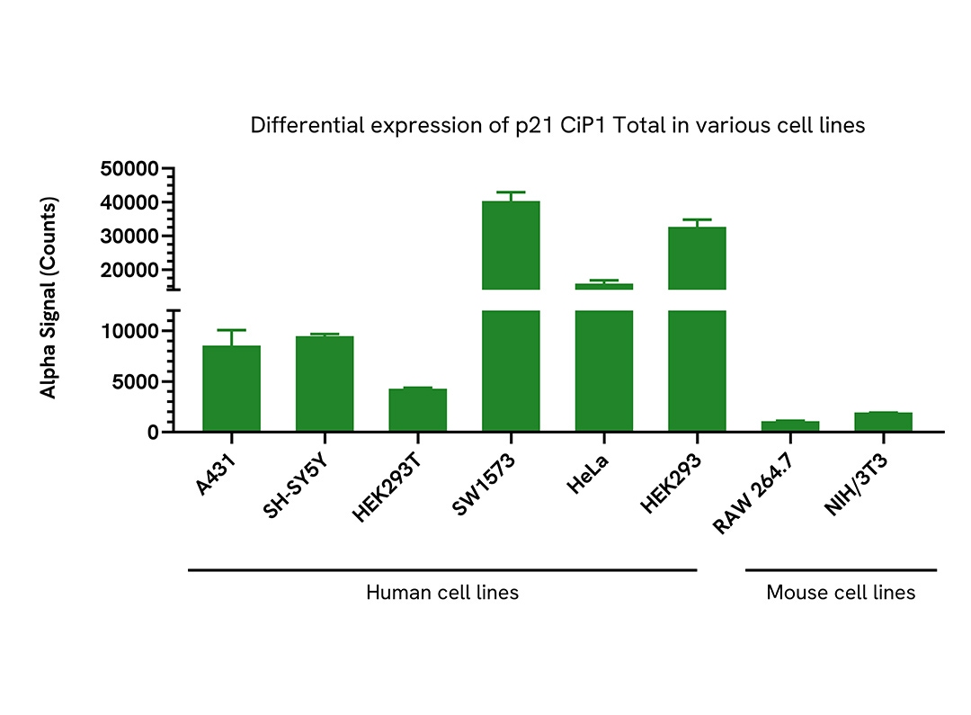 Versatility of Total p21 CiP1 assay in various cell lines