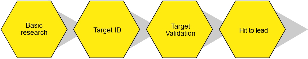 Diagram outlining key stages of immune cell screen services projects