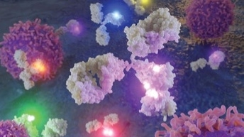 Flow-Cytometry-Antibodies