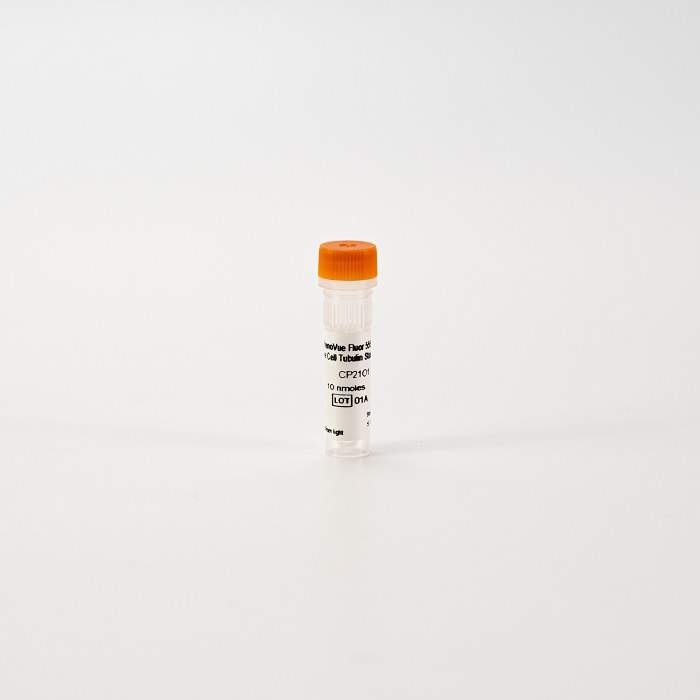 PhenoVue Fluor 555 - Live Cell Tubulin Stain | Revvity