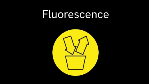 Fluorescence