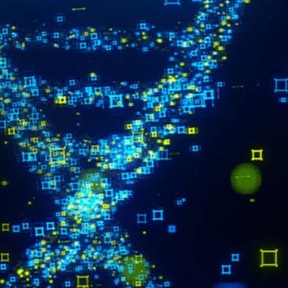 Gene expression systems_1271453_GettyImages-1400276299_thumbnail