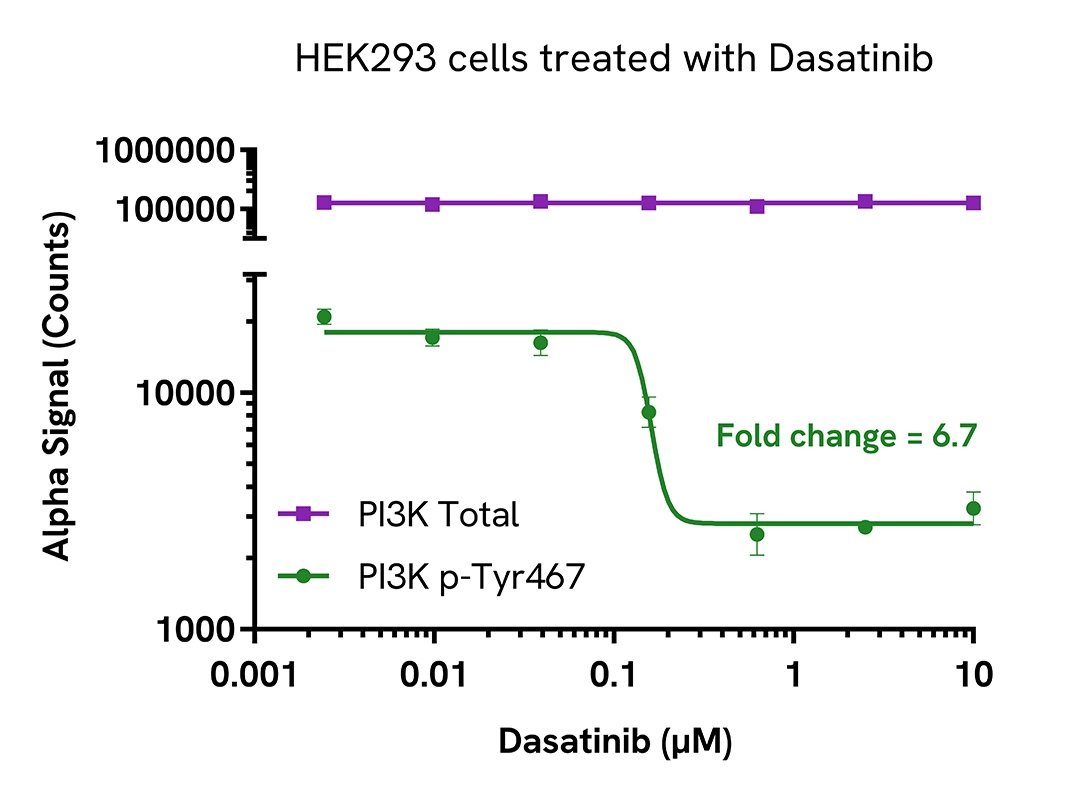 Pharmacological Validation (inhibitor) of Phospho PI3K (Tyr467)