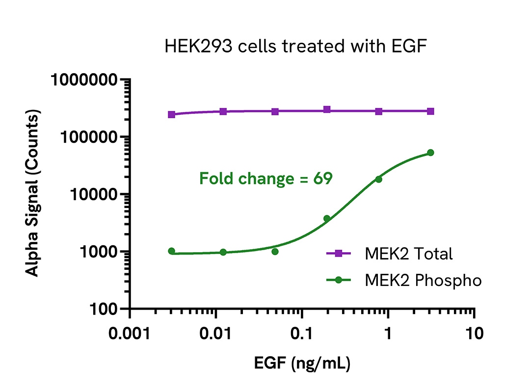 Pharmacological Validation (activator) of Phospho MEK2 (Ser217/221)/Total assays